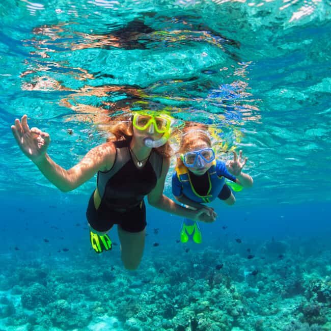 Barbados: 1-Hr Snorkeling Adventure with Supreme Watersports - Good To Know