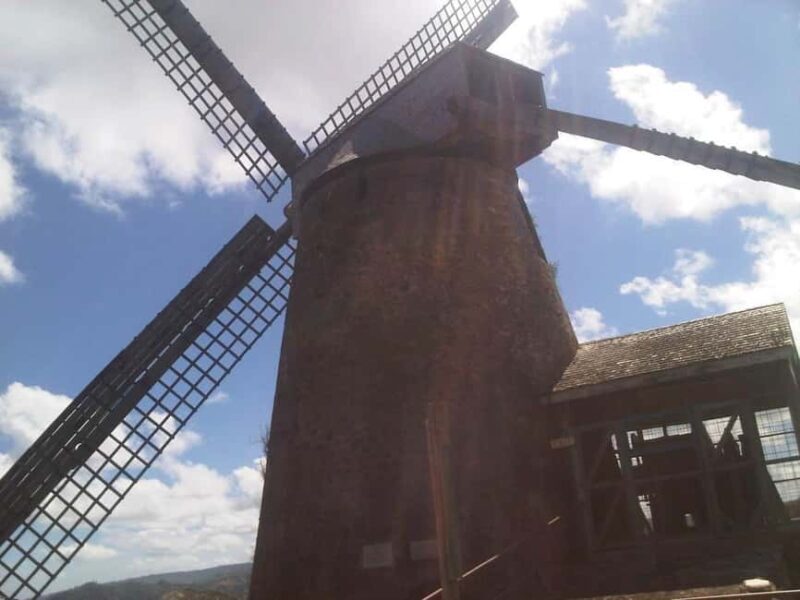 Barbados: 5.5-Hour Island Tour Plantation, Lunch and Drinks - An In-Depth Look at the Itinerary