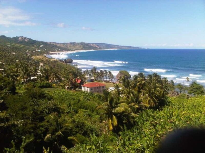 Barbados: 5.5-Hour Island Tour Plantation, Lunch and Drinks - Value and Pricing