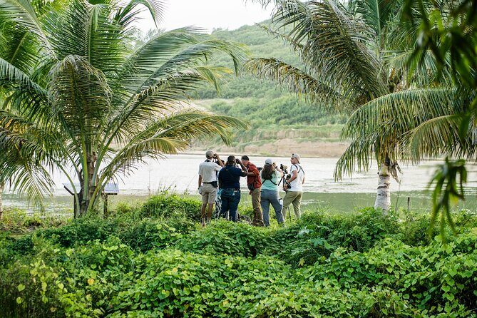 Barbados Bird Watching Experience (Transport Included) - From Hiking to E-Biking: A Perfect Combo