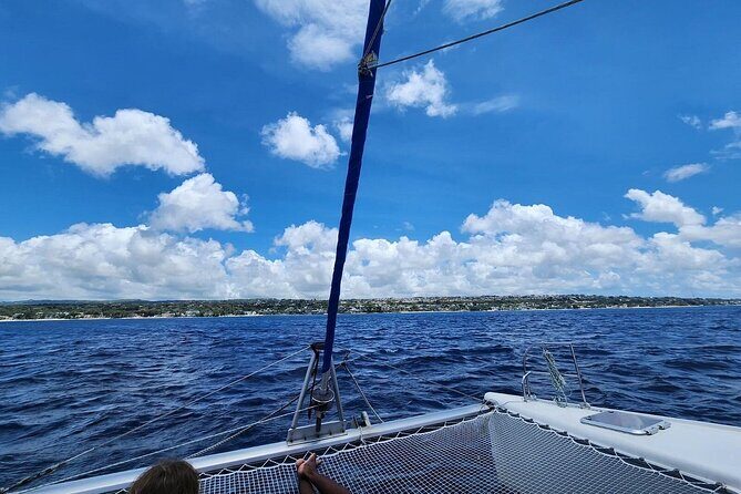 Barbados Catamaran Snorkeling Turtle and Shipwrecks tour - Authentic Guest Insights