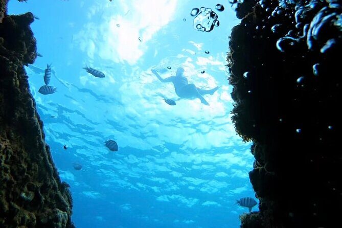 Barbados Catamaran Snorkeling Turtle and Shipwrecks tour - FAQs