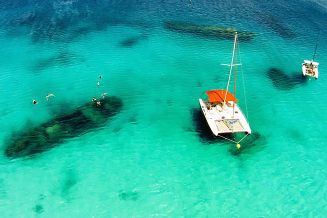 Barbados Catamaran Turtle Snorkel With Lunch and Open Bar - Traveler Reviews
