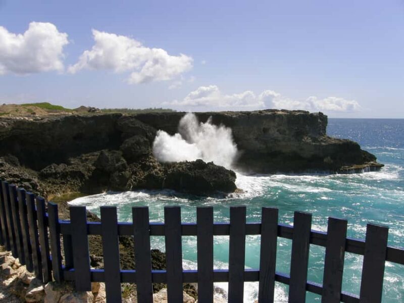 Barbados: Coastal Sightseeing Tour with Lunch and Transfers - The Sum Up