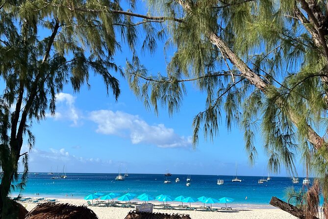 Barbados Excursion Snorkel Cruise and Beach Day on Carlisle Bay - Reviews and Ratings From Previous Travelers