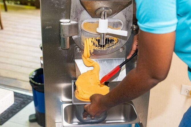 Barbados Fruit to Scoop Culinary Experience : Taste & Make Sorbet - Exploring the Barbados Fruit to Scoop Tour