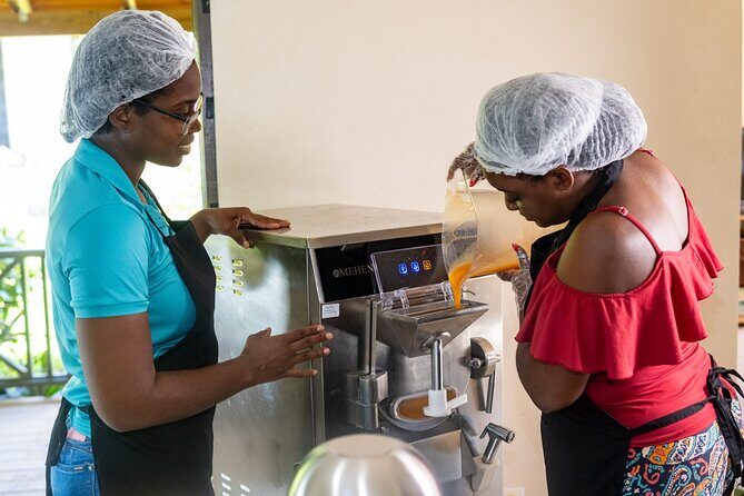 Barbados Fruit to Scoop Culinary Experience : Taste & Make Sorbet - Who Would Love This Tour?