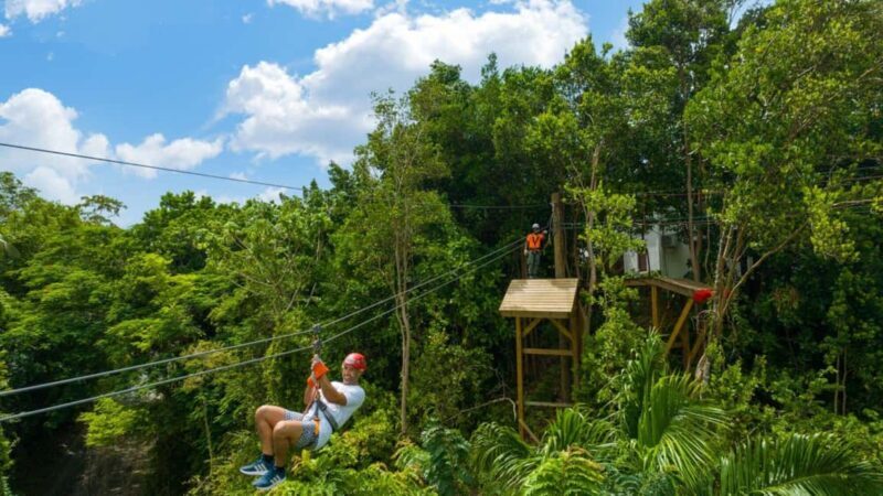 Barbados: Harrison's Cave Adventure Park Pass - An In-Depth Look at Harrison’s Cave Adventure Park Pass  