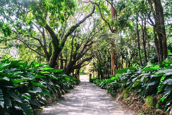 Barbados Harrisons Cave and St Nicolas Abbey Tour - Overview and Tour Details