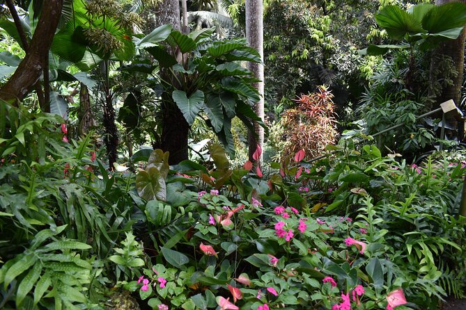 Barbados-Harrisons Cave-Gardens-St Nicholas Abbey: Day Tour - Saint Thomas Parish - Reviews