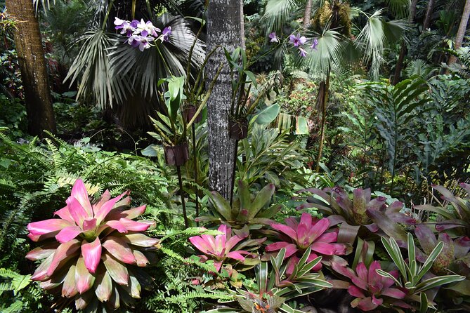 Barbados-Harrisons Cave-Gardens-St Nicholas Abbey: Day Tour - Saint Thomas Parish - Common Questions