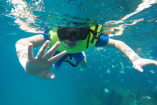 Barbados Harrisons Cave Tram Tour and Boat Cruise Snorkel Adventure - Cave Tour