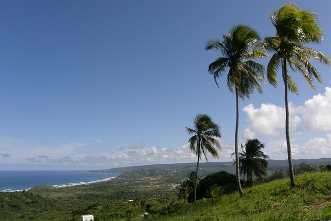 Barbados Highlights Tour With Wildlife Reserve and Lunch  - Saint Joseph Parish - Positive Feedback