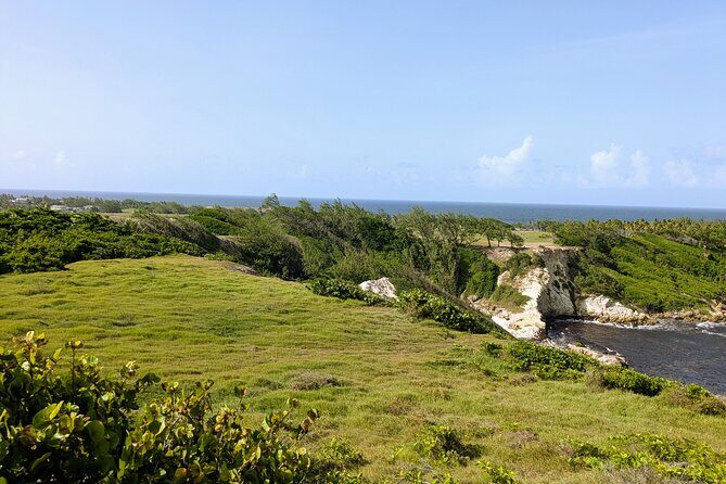 Barbados Hiking and Sightseeing Tour (Transport Included) - Authentic Reviews: What Travelers Say