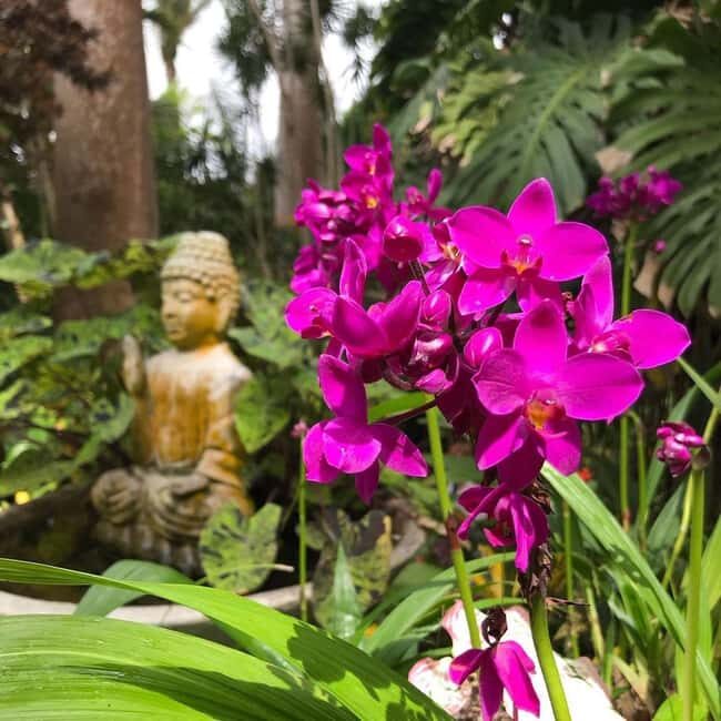 Barbados: Hunte's Garden, Artisan Studios, and Beach Tour - Savoring a Tasty, Island-Inspired Lunch