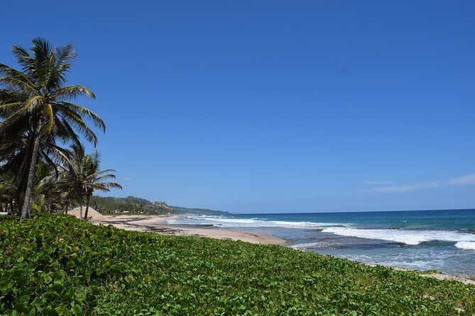 Barbados Island Highlights Half-Day Tour - Good To Know