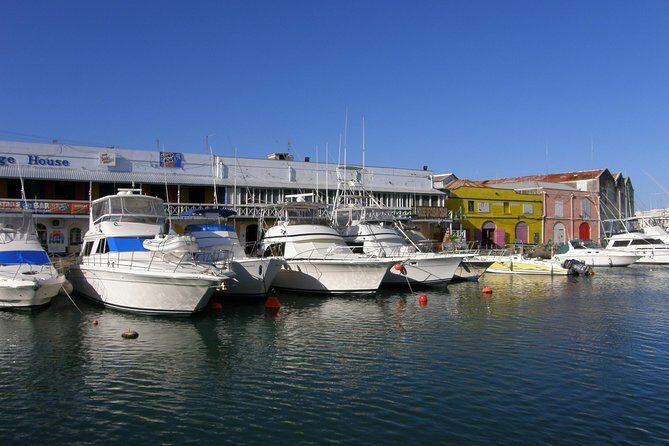 Barbados Island Highlights Half-Day Tour - Final Thoughts