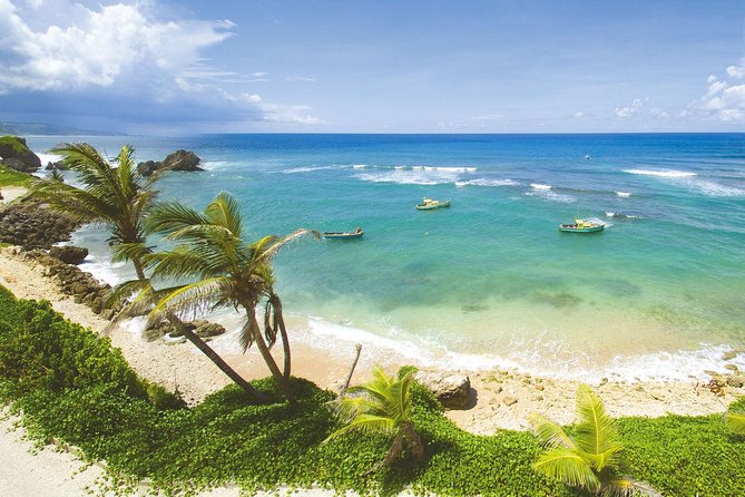 Barbados Island Tour With Lunch and Wildlife Sanctuary - Natural Highlights and Wildlife Sanctuary