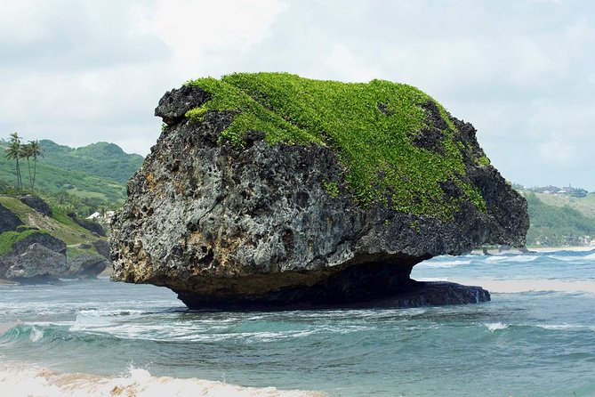 Barbados Island Tour With Lunch and Wildlife Sanctuary - Drivers Impact and Appreciation From Host