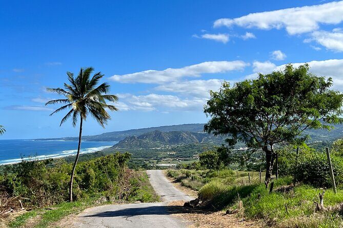 Barbados Paradise Tour with Hotel Transfers - Good To Know