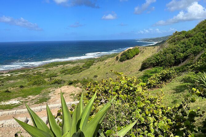 Barbados Paradise Tour with Hotel Transfers - Who Would Love This Tour?