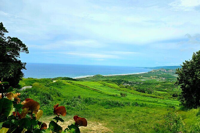 Barbados Private Island Tour: A Fully Customizable Experience - A Deep Dive into the Experience