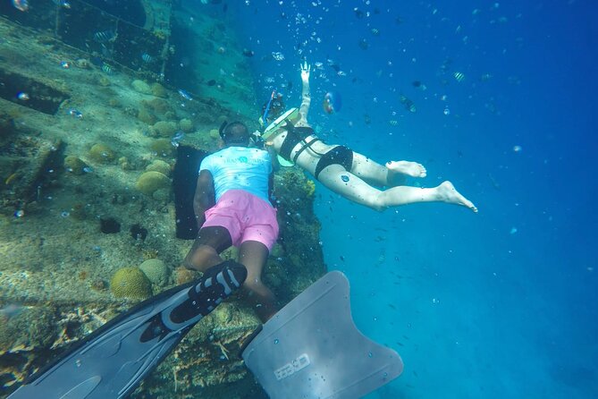 Barbados Shore Excursion: Carlisle Bay Turtle & Shipwreck - Overview of the Tour