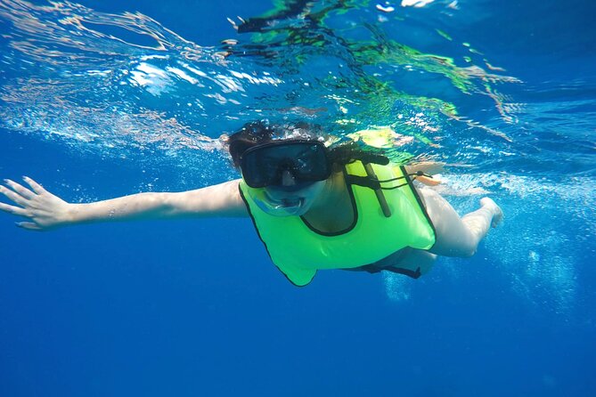 Barbados Shore Excursion: Carlisle Bay Turtle & Shipwreck - Cancellation Policy