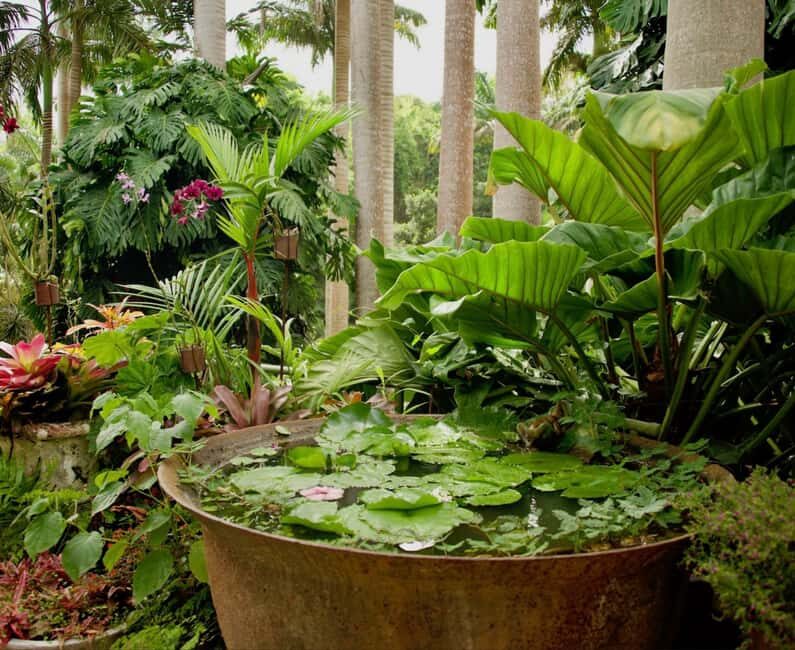 Barbados: Tour of Harrison's Cave & Hunte's Gardens - Good To Know