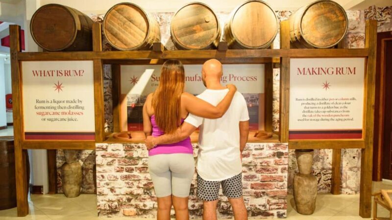 Barbados: Trail, Tram & Rum Experience - The Mount Gay Rum Tour: A Celebrated Part of the Day