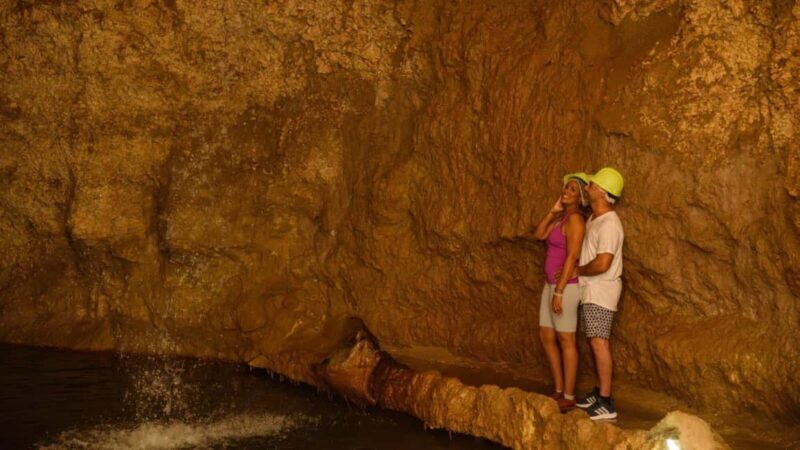 Barbados: Trail, Tram & Rum Experience - Who Is This Tour Best Suited For?