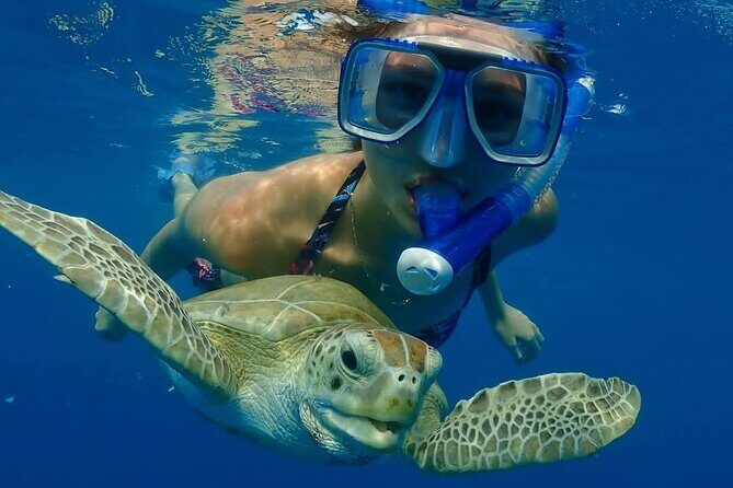 Barbados Wreck Explorers - What to Expect from the Barbados Wreck Explorers Tour