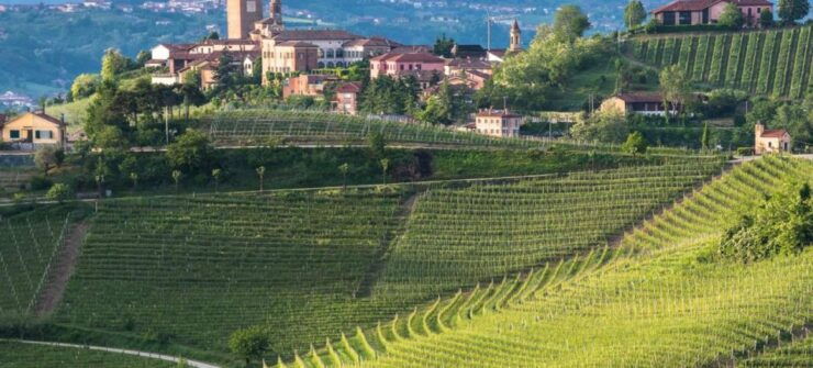 Barbaresco: E-Bike Tour of Piedmont Wineries With Tastings - Good To Know