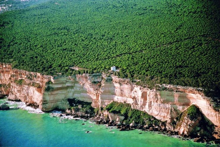 Barbate: La Breña and Cape Trafalgar Natural Park - Park Highlights