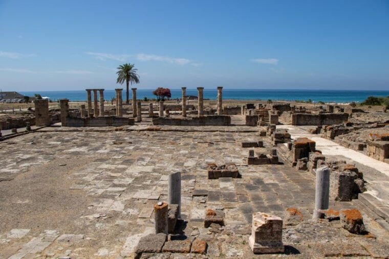 Barbate: Strait Natural Park & Baelo Claudia Catamaran - Natural Beauty of the Strait