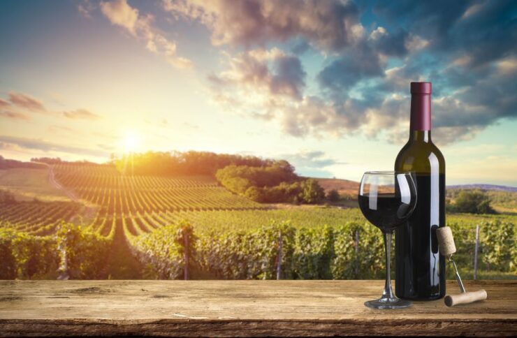 Barberino Tavarnelle: Wine Tasting and Dinner in Chianti - Activity Details