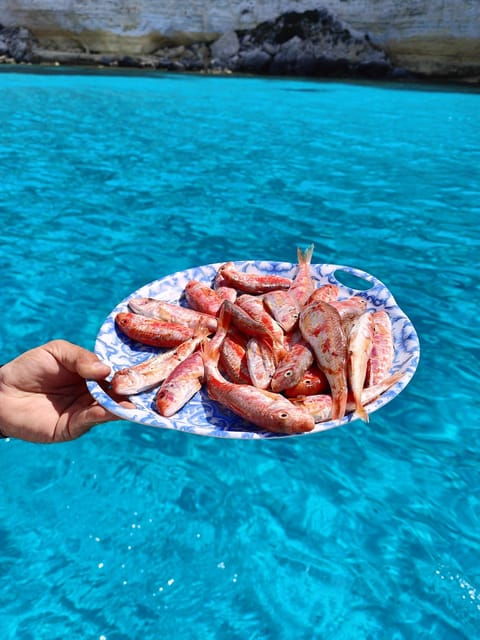 Barca Liliana (Caligola1) - Customer Feedback