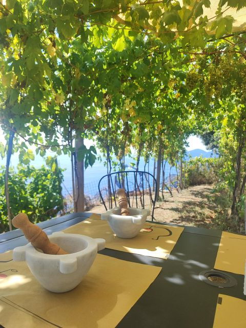 BarCa Wine Cinqueterre & Pesto Class - Good To Know