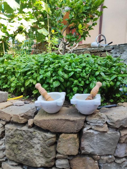 BarCa Wine Cinqueterre & Pesto Class - Highlights