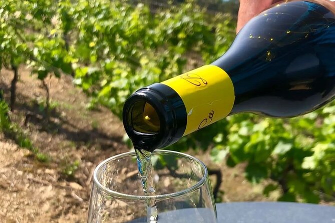 Barca Winery Cinqueterre Tour With Wine Tasting & Pesto Class - Inclusions