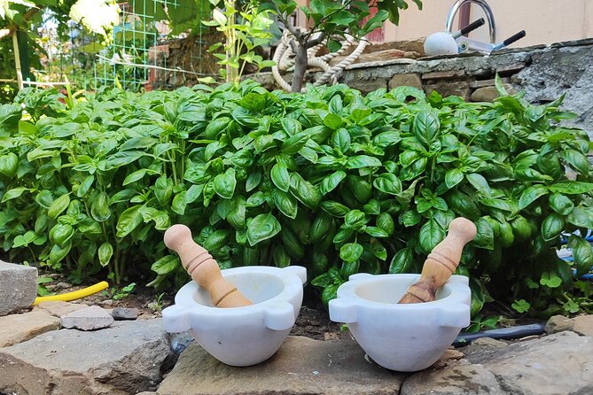 Barca Winery Cinqueterre Tour With Wine Tasting & Pesto Class - Common Questions