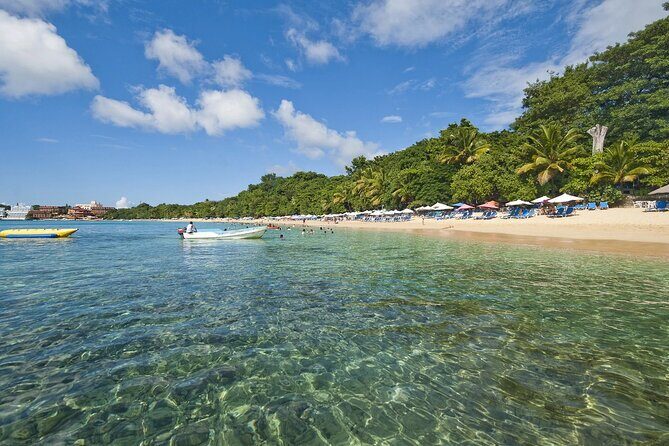 Barceló Bávaro Beach - Round Trip Shuttle - Punta Cana Airport - Reviews and Real Traveler Insights