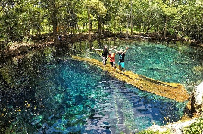 Barceló Bávaro Palace - Round Trip Shuttle - Punta Cana Airport - Who Will Love This Service?