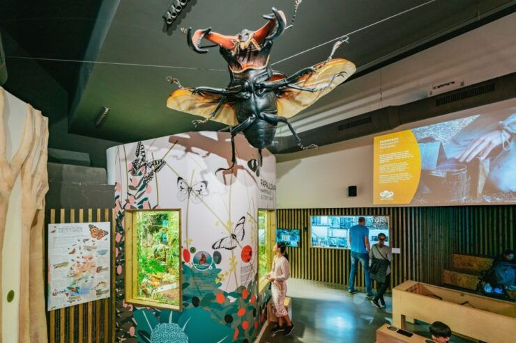 Barcelona: 1-Day Ticket to Barcelona Zoo - Experience at Barcelona Zoo