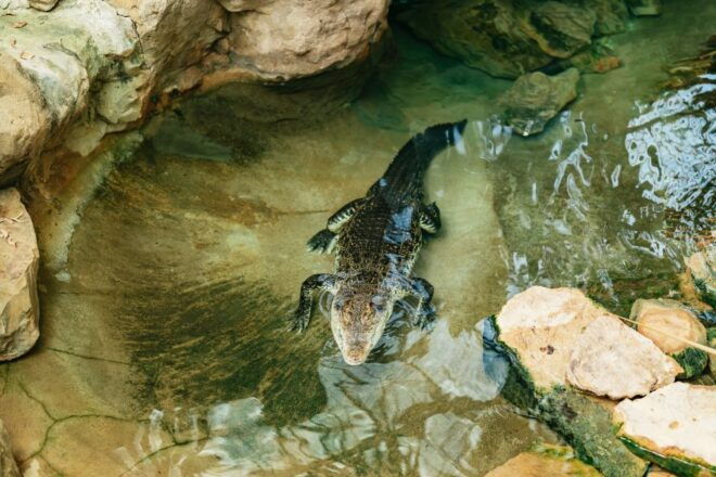 Barcelona: 1-Day Ticket to Barcelona Zoo - Review Summary