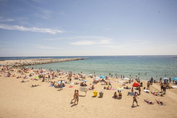 Barcelona: 2-Hour City Sights Guided Segway Tour - Customer Reviews