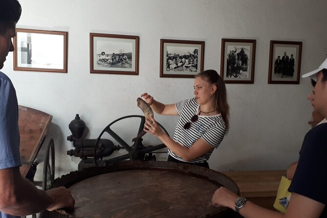 Barcelona: 3 Wineries in One-Day, With Hotel Pick up and Lunch - Lunch and Culinary Experiences