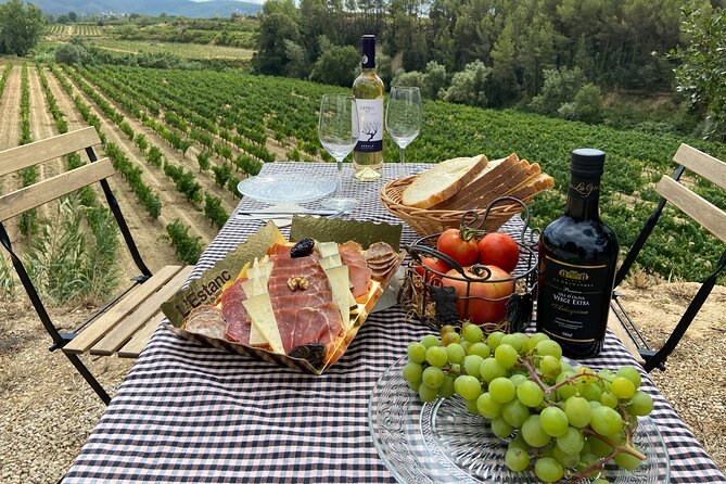 Barcelona: 3 Wineries in One-Day, With Hotel Pick up and Lunch - Common Questions
