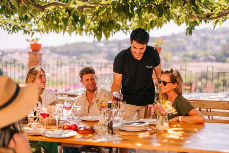 Barcelona: Alella Wine Tour with Tasting & Vineyard Picnic - Good To Know