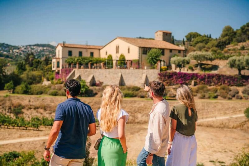 Barcelona: Alella Wine Tour with Tasting & Vineyard Picnic - A Closer Look at the Alella Wine Tour